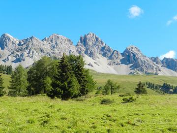 Settembre-ottobre, appartamento nelle Dolomiti