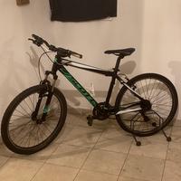 Bici 10-15 anni