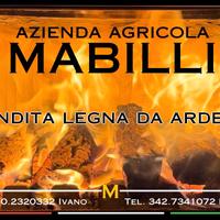 Legna da ardere
