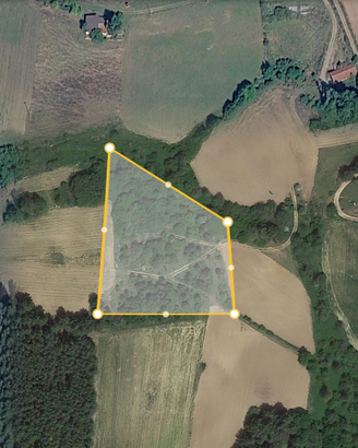 Terreno agricolo 8.420 mq – Spezzano della Sila
