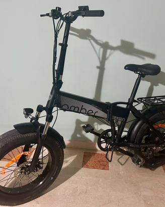 Bicicletta elettrica