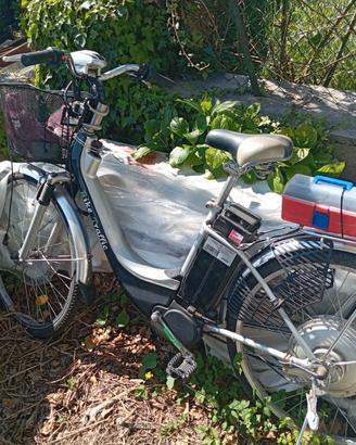 Bicicletta elettrica