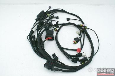 Impianto elettrico Ducati Hypermotard 796 1100 evo