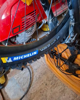 Due gomme  michelin wild am2  29×2.60 66-622 Nuove