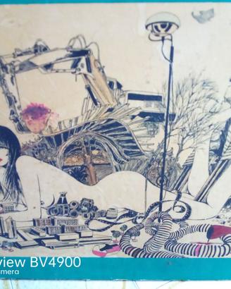 quadro stampa  ''valentina'' crepax