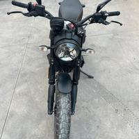 Ducati scrambler