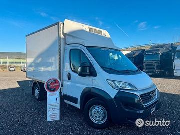 Fiat ducato Cella frigo 3.00 Mt -2014 E5