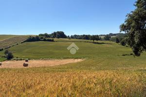 TER. AGRICOLO A MONTECASTRILLI