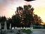 Immagine 20