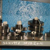 ingranaggio plurimandrino schutte SE18-16-25 giri