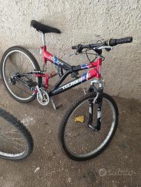 bici 20 euro