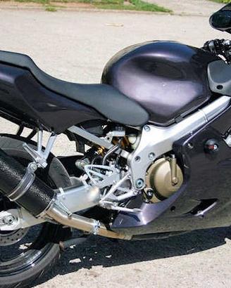 Ovale Carbon Roadsitalia Honda CBR 600 F 2001-2007