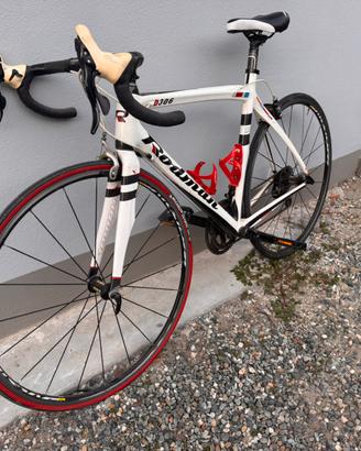 Bici da corsa Rodman D306 in fibra di carbonio