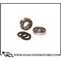 KIT CUSCINETTI PARAOLI BANCO BCR PIAGGIO 50 FREE B