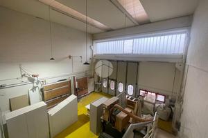 CAPANNONE A ALBANO SANT'ALESSANDRO