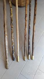 bastoni da passeggio e per funghi.