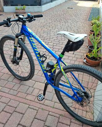  Bici Specialized.