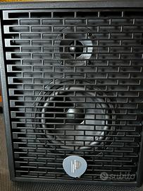 AMPLIFICATORE COMBO PRODIPE NATURAL 6