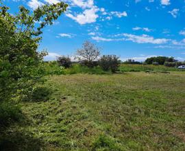 Terreno agricolo recintato con pozzo