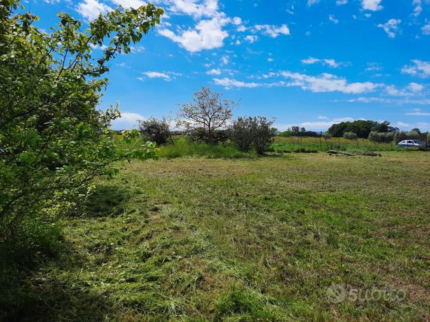 Terreno agricolo recintato con pozzo