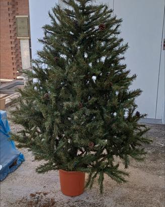 Lotto Natalizio :albero e tutto il resto