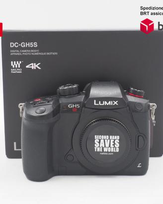 Panasonic Lumix G DC - GH5S