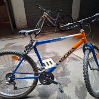 Mountain bike da uomo