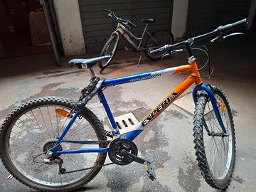 Mountain bike da uomo