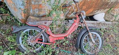 motorino califfone