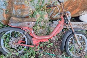 motorino califfone