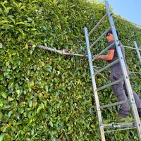 Giardiniere professionista- Manutenzione generale