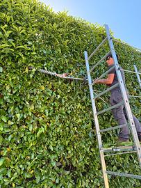Giardiniere professionista- Manutenzione generale