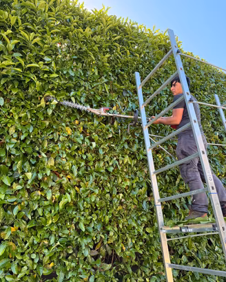 Giardiniere professionista- Manutenzione generale