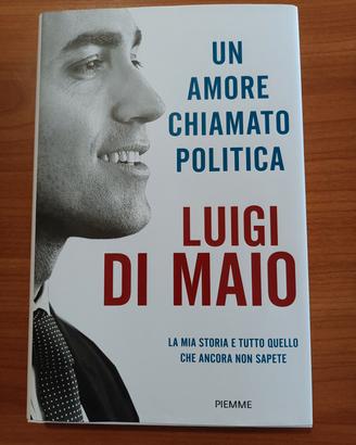 Libro di Luigi d Maio Nuovo "Un amore chiamato po