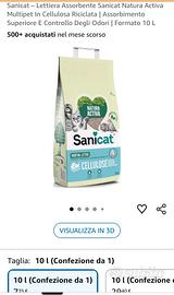 sabbietta gatto 