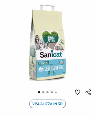 sabbietta gatto 