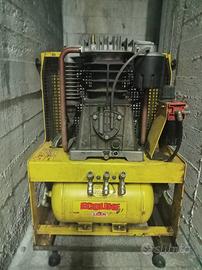 Compressore LISAM per raccolta olive