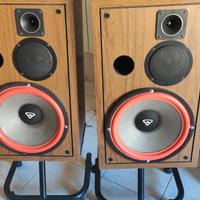 Cerwin Vega D5E 