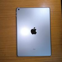 iPad 6° generazione (2018) (GUASTO)
