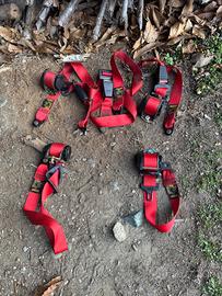 Cinture Cinquecento Sporting Rosse