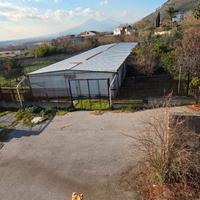 CAPANNONE USATO DA SMONTARE