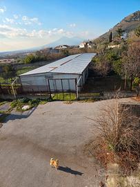 CAPANNONE USATO DA SMONTARE