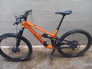 canyon spectral cf8 2025 TG L