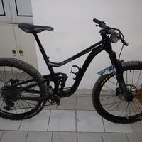 mtb giant