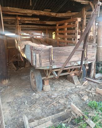 carro rimorchio agricolo 