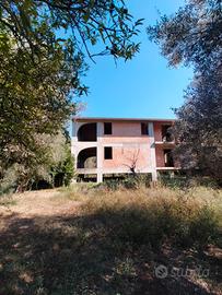 immobile rustico con terreno adiacente 