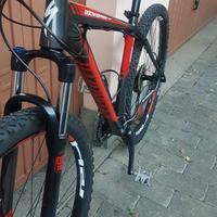 Specialized Rockhopper 29