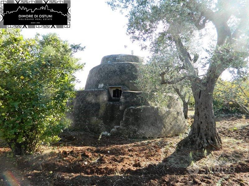 TRULLO con LAMIA e 8200mq TERRENO - AGRO DI OSTUNI - Vista 4