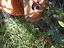 Immagine 3