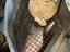 Immagine 11